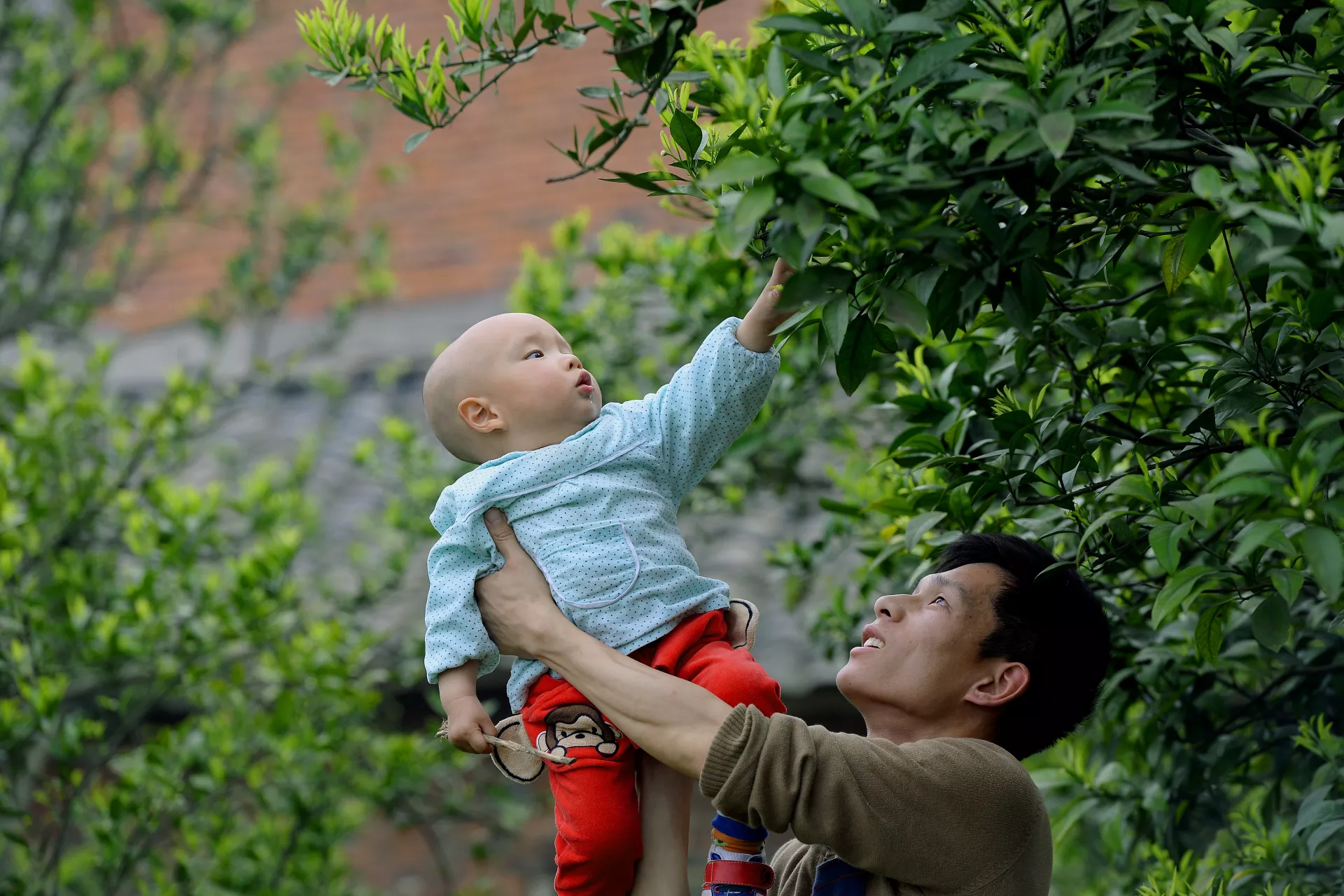 2015年，在湖北省宜昌市艾家村，一名父亲抱起他的孩子。