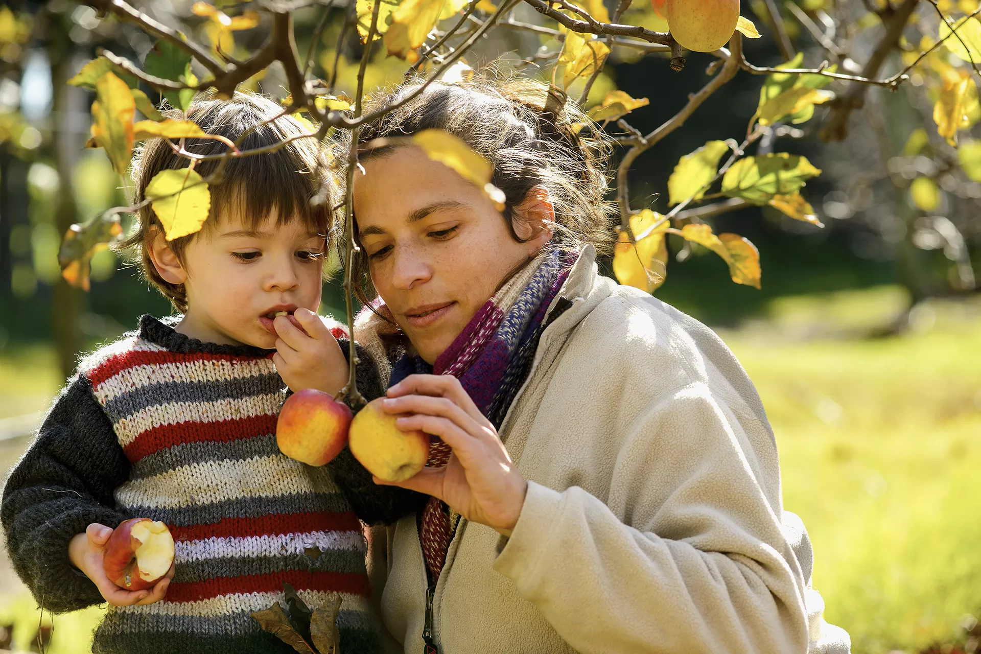 Joaquín, 2, helps his mother, Rosina, pick apples in the family's orchard at their home in a rural area of the department of San José, Uruguay.