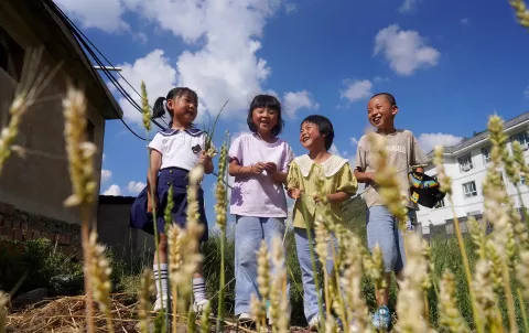 Children chat near a wheat field in Dacaotan Village, Zhang County, Gansu Province, on August 1, 2023.