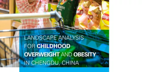 Landscape Analysis for Childhood Overweight and Obesity in Chengdu, China