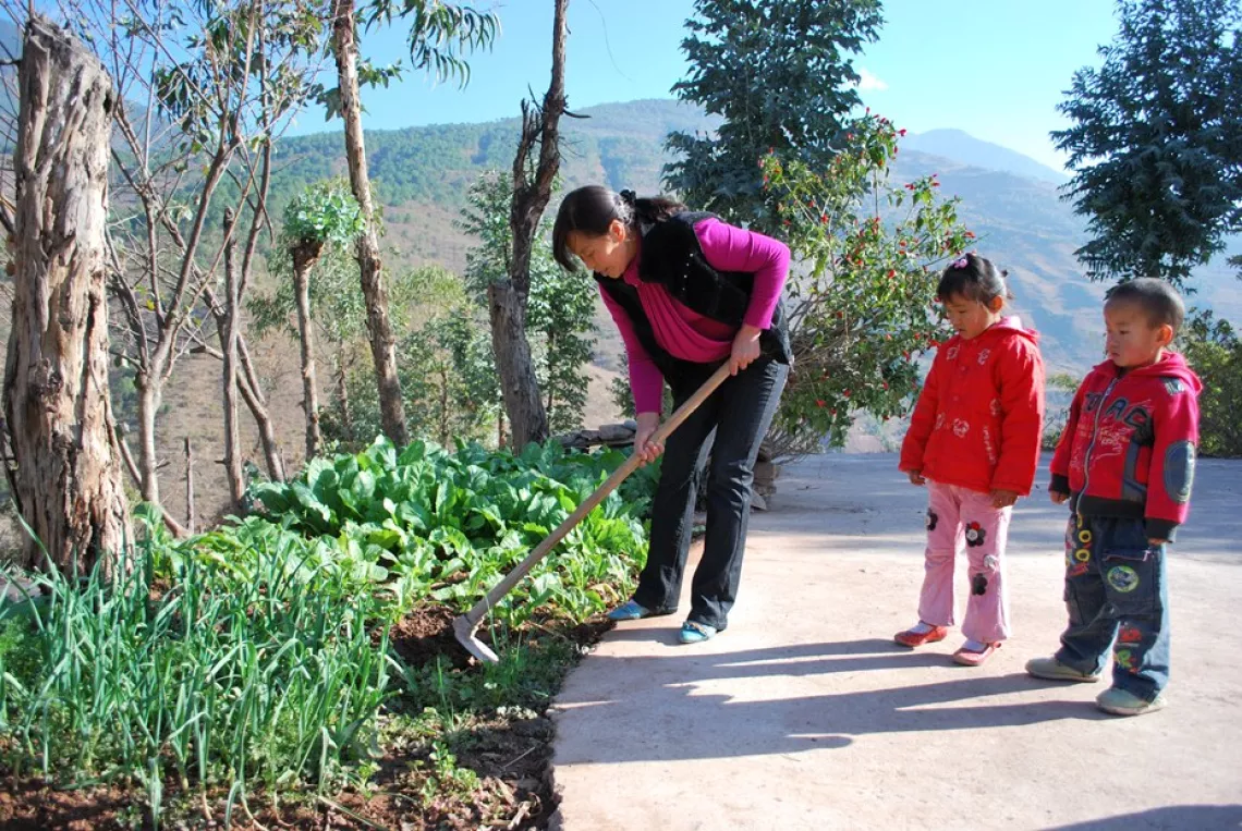 Teacher and students also keep a vegetable garden.