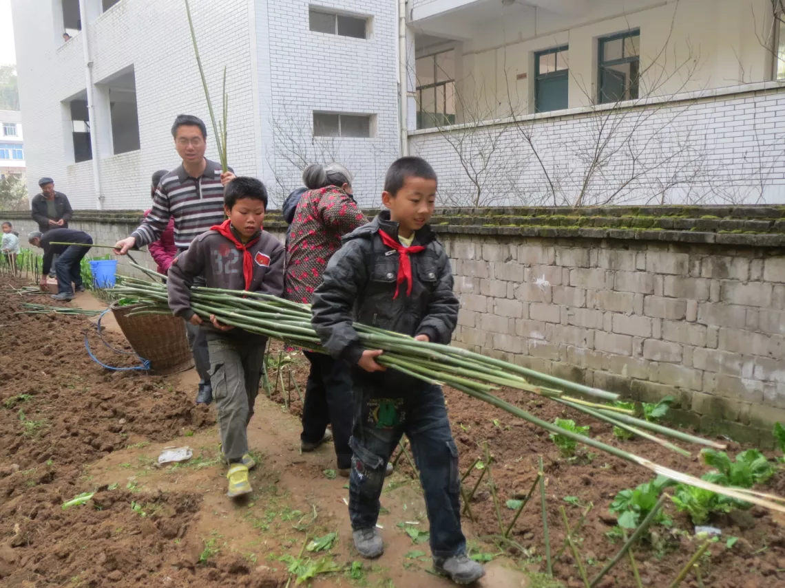 忠县甘井小学的学生开垦荒地来种植蔬菜。
