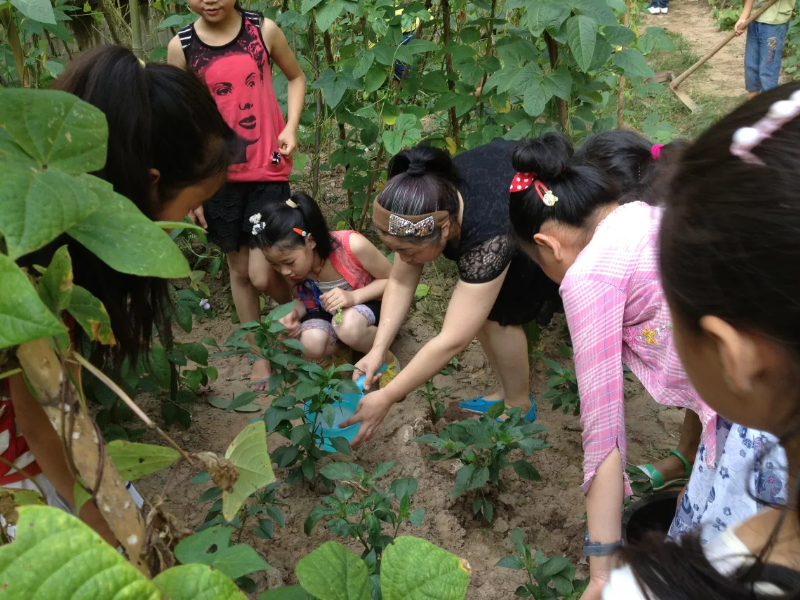 Children in Ganjing primary school in Zhong County learning how to plant the green pepper.